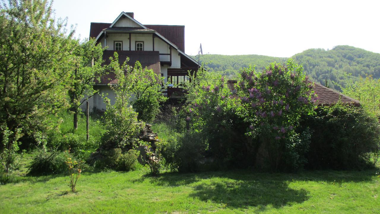 Cabana Poiana Galdei Exterior foto