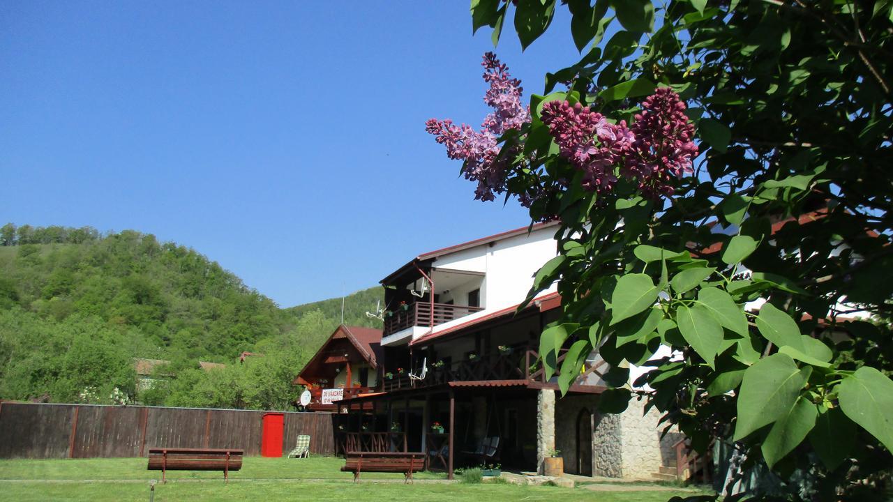 Cabana Poiana Galdei Exterior foto